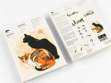 Load image into Gallery viewer, A5 Notepad &amp; Matching Envelopes| The Pepin Press
