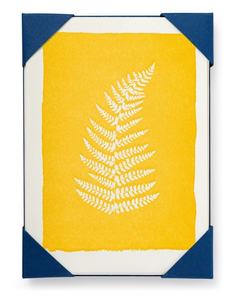 Notelets Pack of 5 | Archivist Gallery