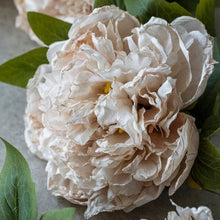 Load image into Gallery viewer, Artificial Evening Dew Peony | Abigail Ahern