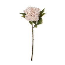 Load image into Gallery viewer, Artificial Evening Dew Peony | Abigail Ahern