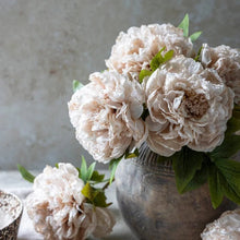 Load image into Gallery viewer, Artificial Evening Dew Peony | Abigail Ahern