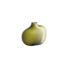 Load image into Gallery viewer, Sacco Glass Vase | Kinto