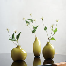 Load image into Gallery viewer, Sacco Glass Vase | Kinto
