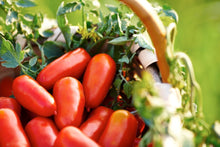 Load image into Gallery viewer, San Marzano Tomatoes | Zia Pia