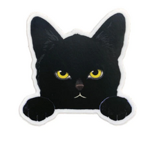 Load image into Gallery viewer, Stickers | Felix Doolittle
