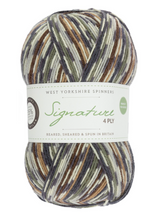 Load image into Gallery viewer, WYS Signature 4-Ply sock yarn | West Yorkshire Spinners