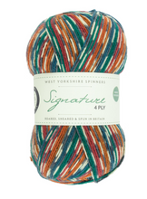 Load image into Gallery viewer, WYS Signature 4-Ply sock yarn | West Yorkshire Spinners