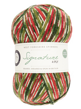 Load image into Gallery viewer, WYS Signature 4-Ply sock yarn | West Yorkshire Spinners