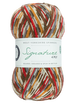 Load image into Gallery viewer, WYS Signature 4-Ply sock yarn | West Yorkshire Spinners