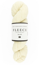 Load image into Gallery viewer, Fleece Jacob DK Yarn | West Yorkshire Spinners