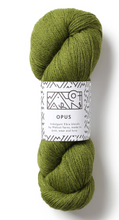 Load image into Gallery viewer, Opus Yarn | Walcot Yarns