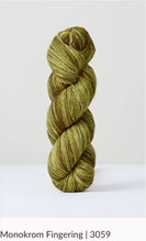 Load image into Gallery viewer, Monokrom Fingering Self Striping Yarn | Urth Yarns