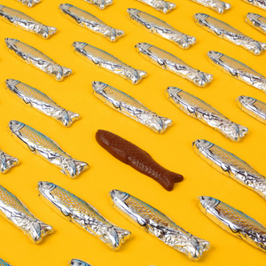 Chocolate Sardines | Le chocolat des Francais