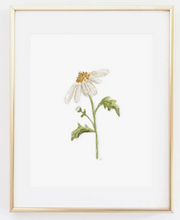 Load image into Gallery viewer, Art Prints | Emily Lex Studio