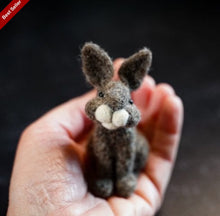 Load image into Gallery viewer, Needle Felting Kits | Bear Creek Felting