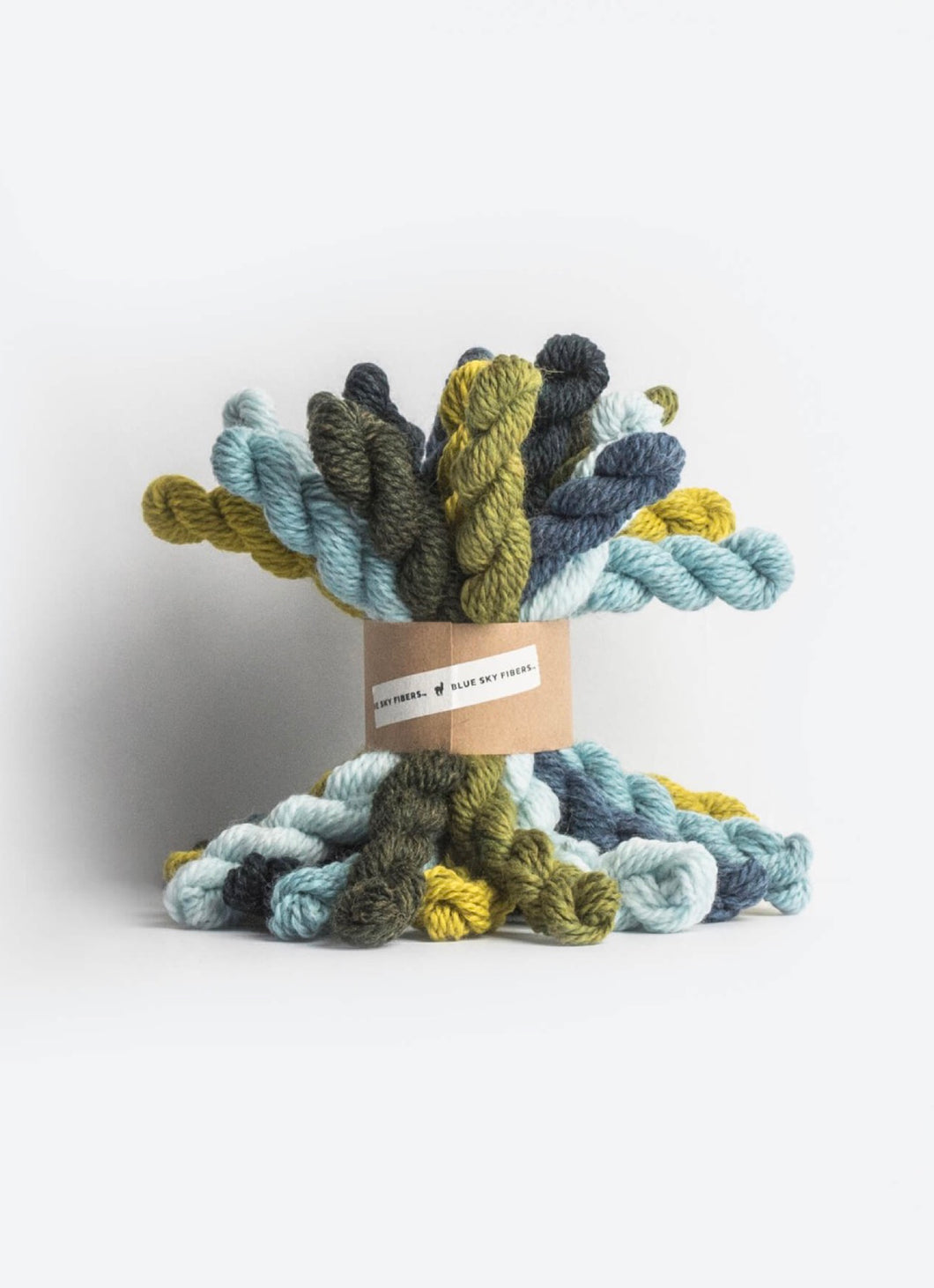Woolstok Bundle Kit | Blue Sky Fibers