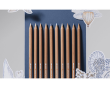 Load image into Gallery viewer, Toile de Jouy Coloured Pencils, Set of 10 | Caran d’Ache