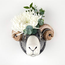 Load image into Gallery viewer, Wall Vase | Quail Ceramics