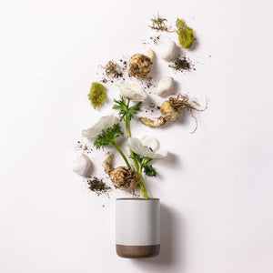 The Candle in Tender Earth | East Fork Pottery