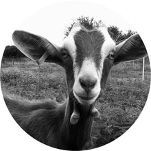 Load image into Gallery viewer, Bar Soap | Imogen Owen