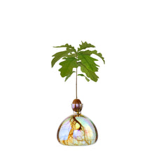 Load image into Gallery viewer, Acorn Vase | Ilex Studio