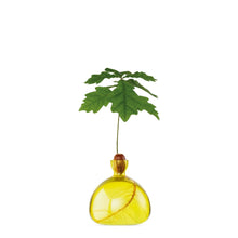 Load image into Gallery viewer, Acorn Vase | Ilex Studio