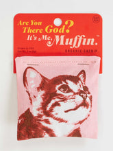 Load image into Gallery viewer, Catnip Toy | Blue Q