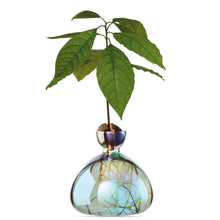 Load image into Gallery viewer, Avocado Vase | Ilex Studio