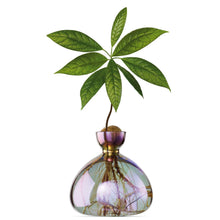 Load image into Gallery viewer, Avocado Vase | Ilex Studio