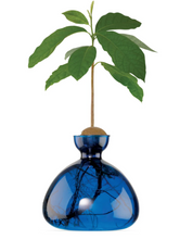 Load image into Gallery viewer, Avocado Vase | Ilex Studio