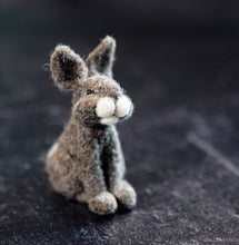 Load image into Gallery viewer, Bear Creek Felting | Rabbit Needle Felting Kit