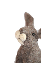 Load image into Gallery viewer, Bear Creek Felting | Rabbit Needle Felting Kit