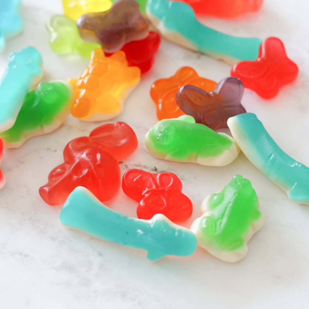 Colorful Animals Gummy Candies | La boîte à bonbons