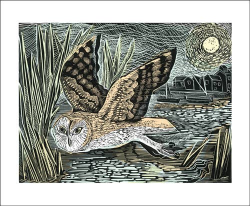 Marsh Owl Card by Angela Harding | Art Angels