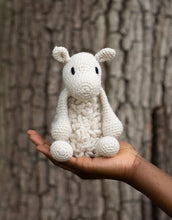 Load image into Gallery viewer, Crochet Kits | Toft