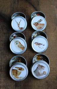 Forest Friends Mini Tins | NNK Press