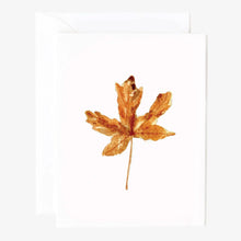 Load image into Gallery viewer, Autumn Assorted Notecard Set | Emily Lex Studio