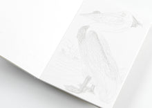 Load image into Gallery viewer, Natural History Watercolour Postcard Book | Pepin Press