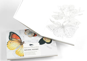 Natural History Watercolour Postcard Book | Pepin Press