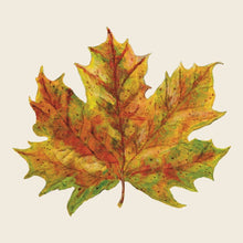 Load image into Gallery viewer, Napkins | Hester &amp; Cook