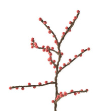 Load image into Gallery viewer, Endless Felt Flower Stems | Aveva