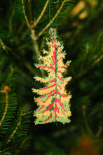 Load image into Gallery viewer, Forest Trees Paper Ornaments | East End Press