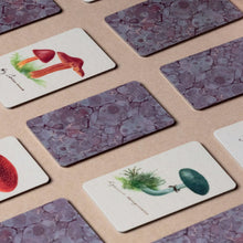 Load image into Gallery viewer, Fungi Memory Game | Roomytown