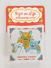 Load image into Gallery viewer, Catnip Toy | Blue Q