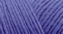 Load image into Gallery viewer, Lamb's Pride Bulky | Brown Sheep Company