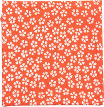 Load image into Gallery viewer, Hanky | Niwaki