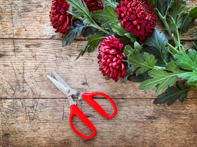 Utility Scissors | Niwaki