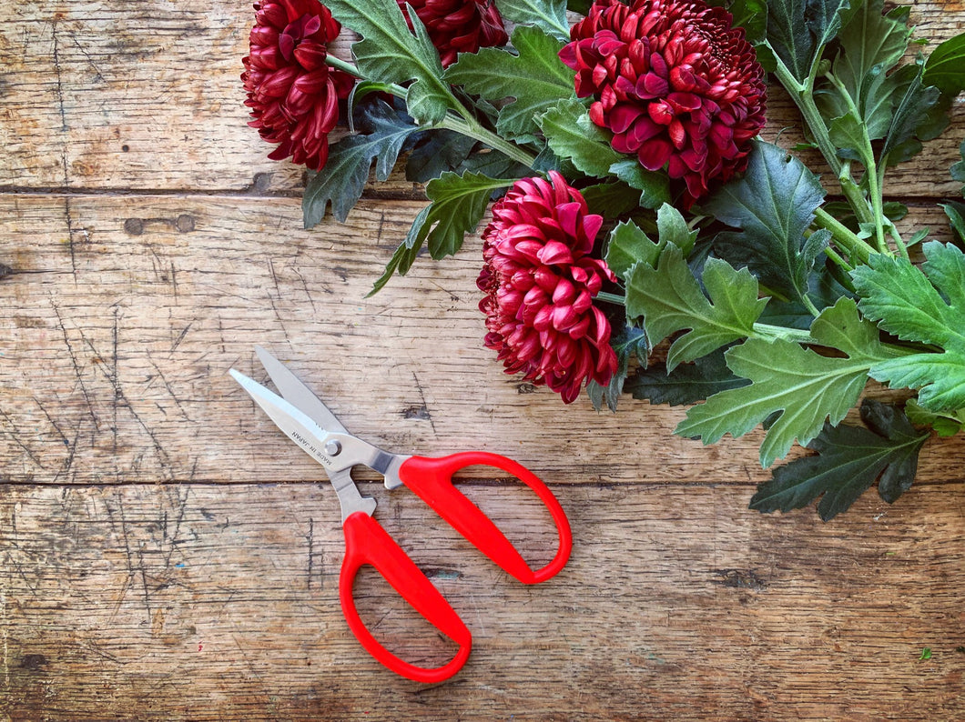 Utility Scissors | Niwaki