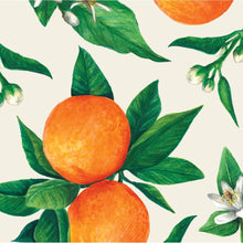Load image into Gallery viewer, Napkins | Hester &amp; Cook