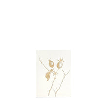 Load image into Gallery viewer, Rosehip Small Greeting Card | Dorothee Lehnen